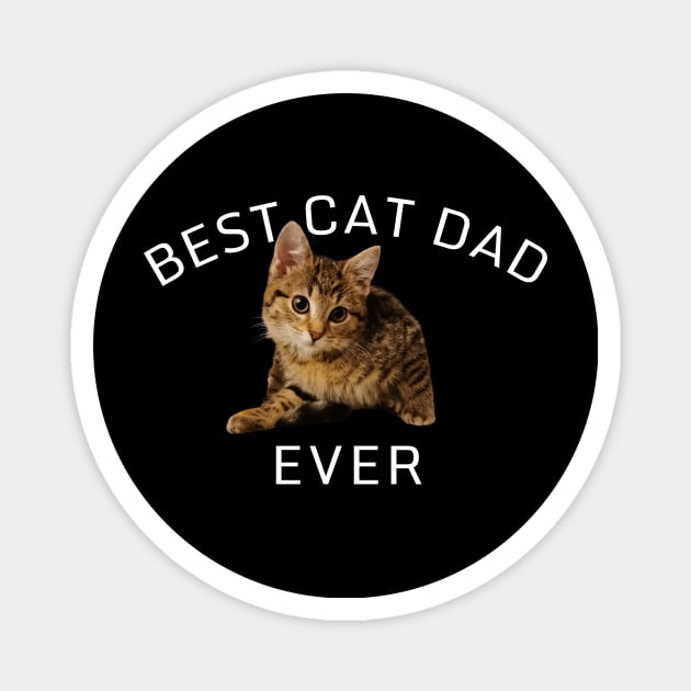 Best Cat DAD Ever, Cat Lover Cute Magnet by K.C Designs